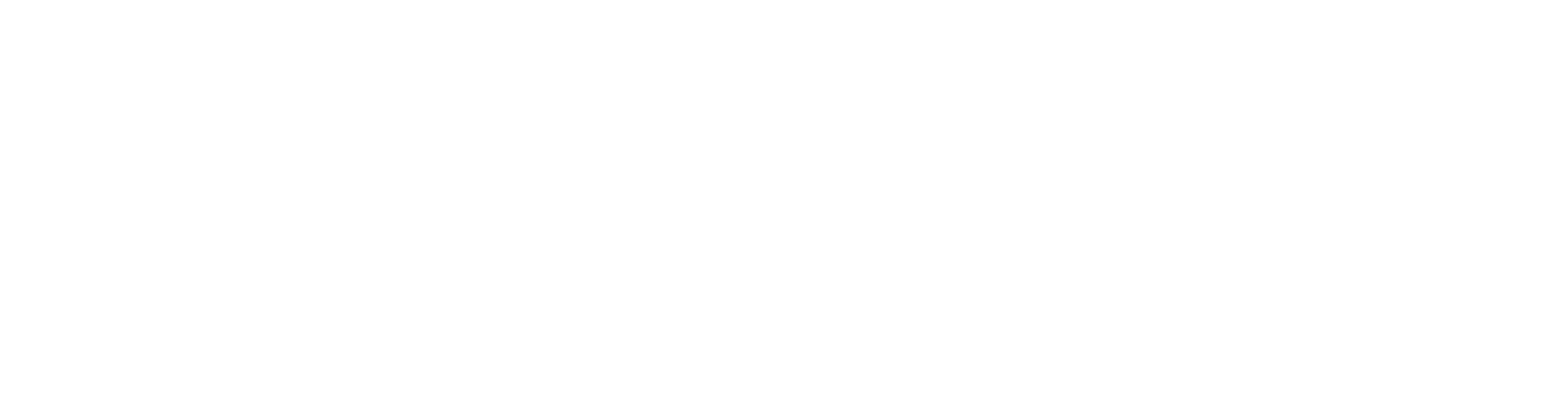 Technoprobe